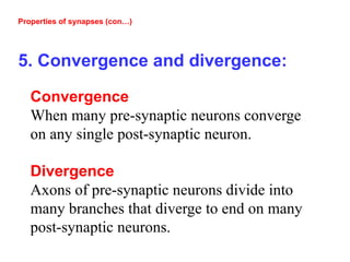 Properties of synapses (con…)
5. Convergence and divergence:
Convergence
When many pre-synaptic neurons converge
on any single post-synaptic neuron.
Divergence
Axons of pre-synaptic neurons divide into
many branches that diverge to end on many
post-synaptic neurons.
 