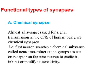 Functional types of synapses
A. Chemical synapse
Almost all synapses used for signal
transmission in the CNS of human being are
chemical synapses.
i.e. first neuron secretes a chemical substance
called neurotransmitter at the synapse to act
on receptor on the next neuron to excite it,
inhibit or modify its sensitivity.
 