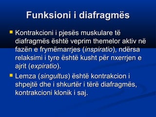 Expiratio L1 thorax muret | PPT
