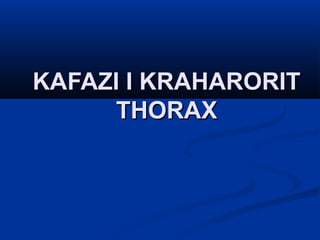 KAFAZI I KRAHARORIT
      THORAX
 