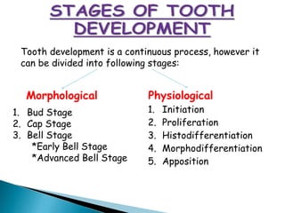 Morphological Physiological
1. Initiation
2. Proliferation
3. Histodifferentiation
4. Morphodifferentiation
5. Apposition
1. Bud Stage
2. Cap Stage
3. Bell Stage
*Early Bell Stage
*Advanced Bell Stage
Tooth development is a continuous process, however it
can be divided into following stages:
 