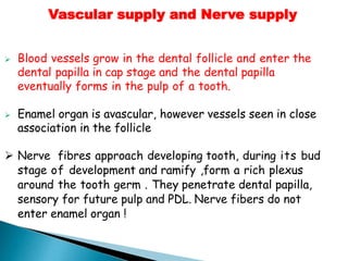 ➢ Blood vessels grow in the dental follicle and enter the
dental papilla in cap stage and the dental papilla
eventually forms in the pulp of a tooth.
➢ Enamel organ is avascular, however vessels seen in close
association in the follicle
➢ Nerve fibres approach developing tooth, during its bud
stage of development and ramify ,form a rich plexus
around the tooth germ . They penetrate dental papilla,
sensory for future pulp and PDL. Nerve fibers do not
enter enamel organ !
Vascular supply and Nerve supply
 