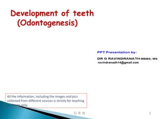 Development of teeth
(Odontogenesis)
All the information, including the images and pics
collected from different sources is strictly for teaching
purposes only.
G R N 1
 