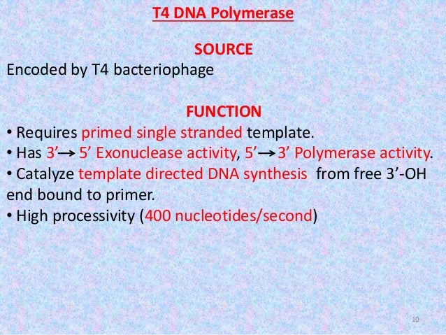 l10 enzymes used in genetic