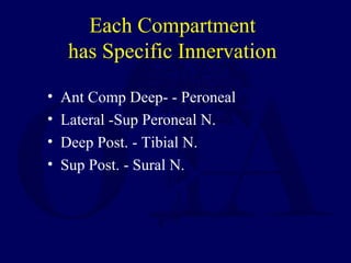 Each Compartment
has Specific Innervation
• Ant Comp Deep- - Peroneal
• Lateral -Sup Peroneal N.
• Deep Post. - Tibial N.
• Sup Post. - Sural N.
 