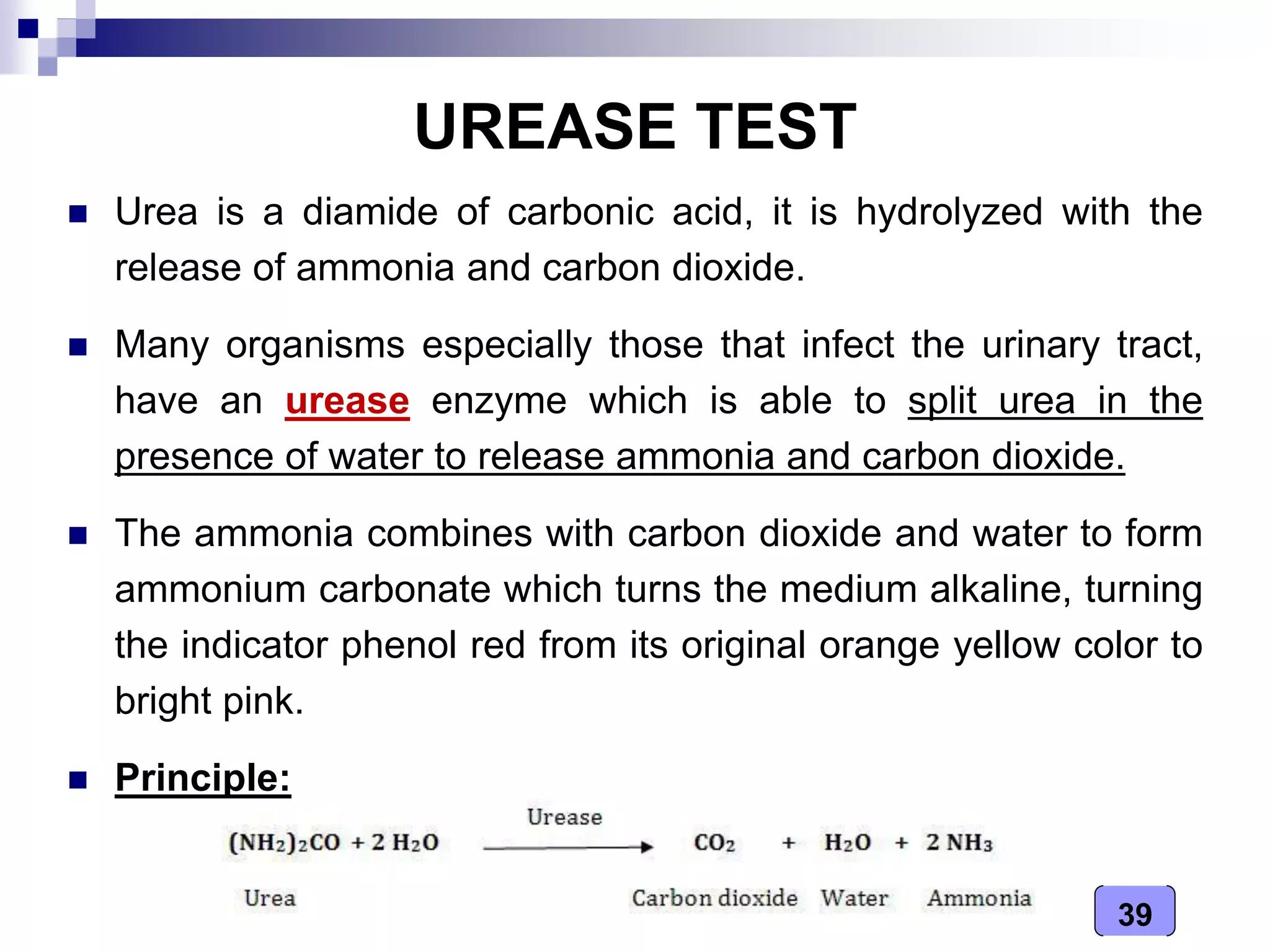 Medical Microbiology Laboratory (biochemical tests - i) | PDF