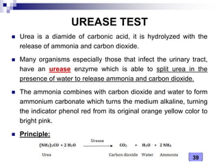 Medical Microbiology Laboratory (biochemical tests - i) | PDF