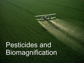 Pesticides and
Biomagnification
 