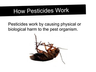 Grade 9, U3-L10 pesticides and biomagnification