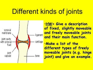 Different kinds of joints ,[object Object],[object Object]