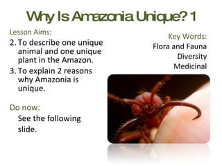 Why Is Amazonia Unique? 1 ,[object Object],[object Object],[object Object],[object Object],[object Object],[object Object],Key Words: Flora and Fauna Diversity Medicinal 
