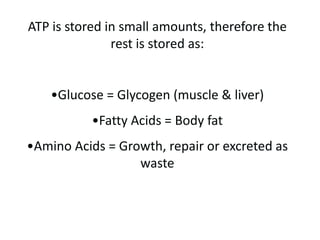 ATP is stored in small amounts, therefore the rest is stored as:Glucose = Glycogen (muscle & liver)