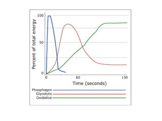 Reduced speed-lasts for several minutes