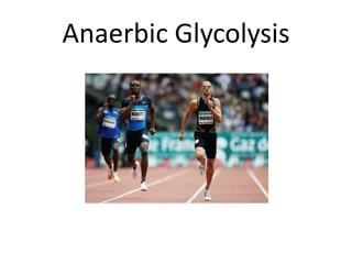 Anaerobic Energy SystemWithout oxygen = Activities that require a large burst of energy over a short period of time