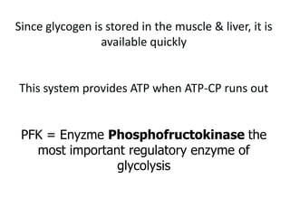 ATP-CP Energy System