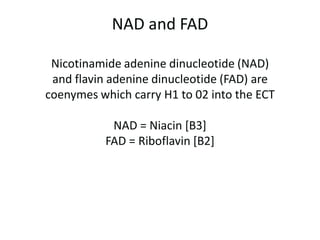 ATP-CP Energy SystemCreatineKinase [CK] catalyzes the transfer of the phosphate from the the high energy compound creatine phosphate to re-synthesise ADP to ATP