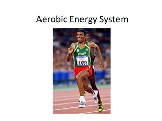 Since glycogen is stored in the muscle & liver, it is available quicklyThis system provides ATP when ATP-CP runs outPFK = EnyzmePhosphofructokinasethe most important regulatory enzyme of glycolysis