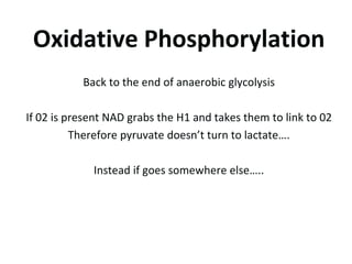 ATP/PC and Anaerobic Glycolysis takes place in the Cytoplasm. Cytoplasm is basically the substance that fills the cell