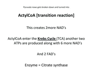 So Anaerobic Glycolysis 	costs 2ATPS and produces 4ATPS