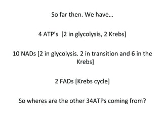  	+ lactate [lactic acid ] if NO oxygen is present