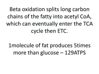 LACTIC During prolonged intensive exercise (e.g. 800m race) the heart may get half its energy from lactic acid. It is converted back to pyruvic acid and used as energy by the heart and other muscles. It is thought that 70% of lactic acid produced is oxidised (buffered by bicarbonate and turned into CO2, 20% is converted to glucose (energy) in the liver. 10% is converted to protein. How long does it take to remove lactic acid?About 1 hour if cooling down with gentle exercise. It can take 2 hours or more if you don’t warm down with gentle exercise.