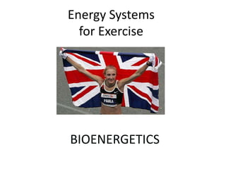 Energy Systemsfor Exercise BIOENERGETICS 