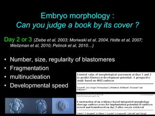 Embryo morphology :
Can you judge a book by its cover ?
Day 2 or 3 (Ziebe et al, 2003; Moriwaki et al, 2004, Holte et al, 2007;
Weitzman et al, 2010; Pelinck et al, 2010…)
• Number, size, regularity of blastomeres
• Fragmentation
• multinucleation
• Developmental speed
 