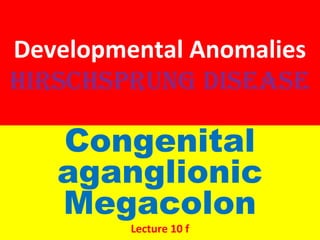 Developmental Anomalies
HirscHsprung Disease
Congenital
aganglionic
Megacolon
Lecture 10 f
 