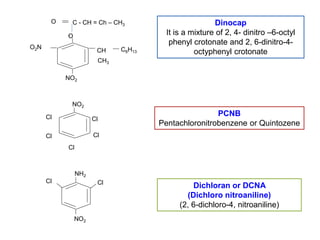 O Nh O2n Cl L 10 Non-sys. fungicides.pptjogggffrrddddd | PPT
