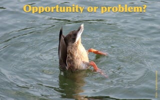 @sarahokeefe
Opportunity	
 or	
 problem?
Flickr:    travelsofamonkey
 