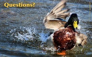 @sarahokeefe
Questions?
Flickr:    airwolfhound
 