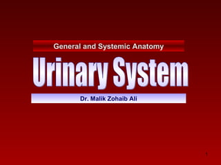 General and Systemic Anatomy

Dr. Malik Zohaib Ali

1

 