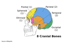 Source: Wikipedia
 