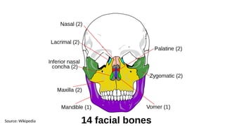 Source: Wikipedia
 