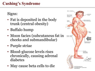 lecture on Glucocorticoids physiology and pathology | PPT