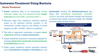 L1111-Important Microbial Mechanisms.pptx