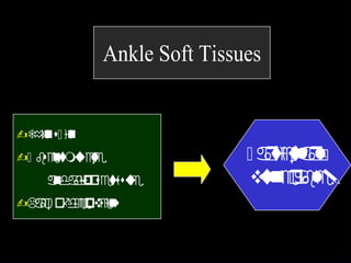 Ankle Soft Tissues
?Thinskin
?k bsentmuscle
andadiposetissue
?Lack ofdeepveins
k articularly
vulnerable!
 