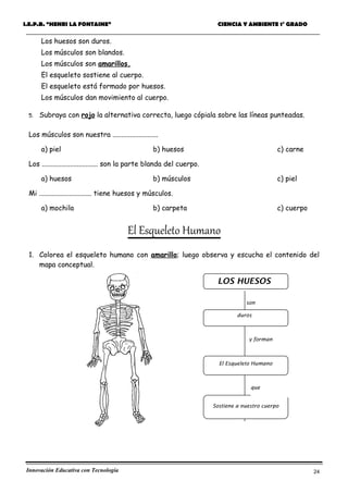 Guía de Aprendizaje - Ciencia y Ambiente