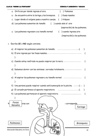 Guía de Aprendizaje - Ciencia y Ambiente