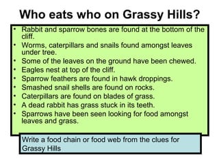 Who eats who on Grassy Hills?
• Rabbit and sparrow bones are found at the bottom of the
cliff.
• Worms, caterpillars and snails found amongst leaves
under tree.
• Some of the leaves on the ground have been chewed.
• Eagles nest at top of the cliff.
• Sparrow feathers are found in hawk droppings.
• Smashed snail shells are found on rocks.
• Caterpillars are found on blades of grass.
• A dead rabbit has grass stuck in its teeth.
• Sparrows have been seen looking for food amongst
leaves and grass.
Write a food chain or food web from the clues for
Grassy Hills
 
