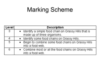 Marking Scheme
 