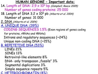 HUMAN GENOME – Important data:
1A. Length of DNA: 2.9 x 109 bp (Campbell, Reece 2005)
   Number of genes coding proteins: 25 000
1B. Length of DNA 3.2 x 109 pb (Alberts et al. 2004)
   Number of genes: 31 000
2. DNA (Alberts et al. 2004)
A. UNIQUE DNA: (39%)
  CODING SEQUENCES 1.5% (Exon regions of genes coding
  for proteins, rRNAs and tRNAs)
  Introns and regulatory sequences (~24%)
  Unique non-coding DNA (~15%)
B. REPETETIVE DNA (53%)
   LINEs 21%
   SINEs 13%
   Retroviral-like elements 8%
   DNA- only transposon „fossils” 3%
   Segmental duplications 3%
   Simple sequence repeats 5%
C. HETEROCHROMATIN (8%)            -
 