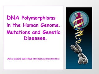 DNA Polymorphisms
in the Human Genome.
Mutations and Genetic
       Diseases.


Marie Kopecká 2007/2008   mkopecka@med.muni.cz
 
