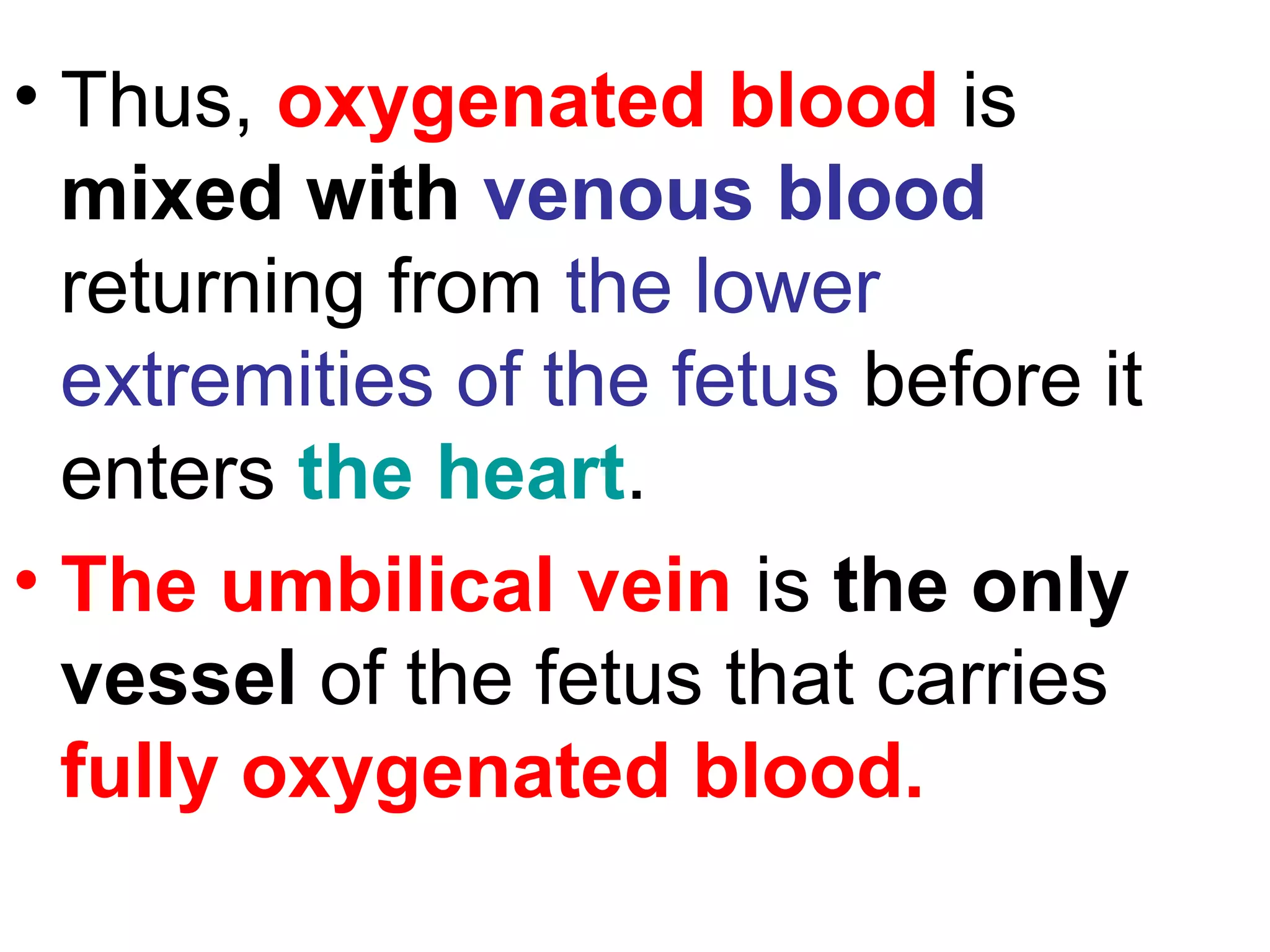 • Thus, oxygenated blood is
mixed with venous blood
returning from the lower
extremities of the fetus before it
enters the heart.
• The umbilical vein is the only
vessel of the fetus that carries
fully oxygenated blood.
 