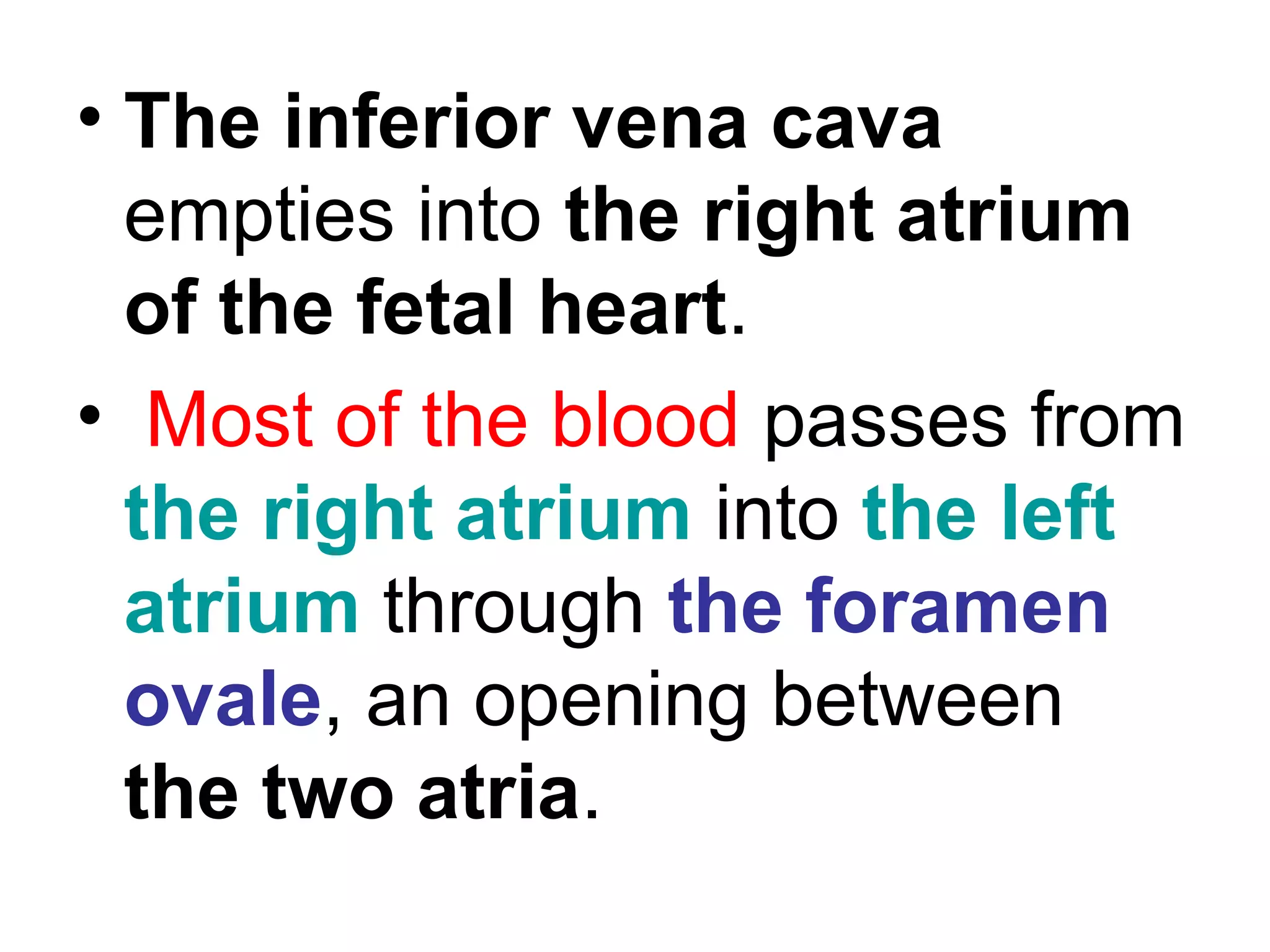 • The inferior vena cava
empties into the right atrium
of the fetal heart.
• Most of the blood passes from
the right atrium into the left
atrium through the foramen
ovale, an opening between
the two atria.
 