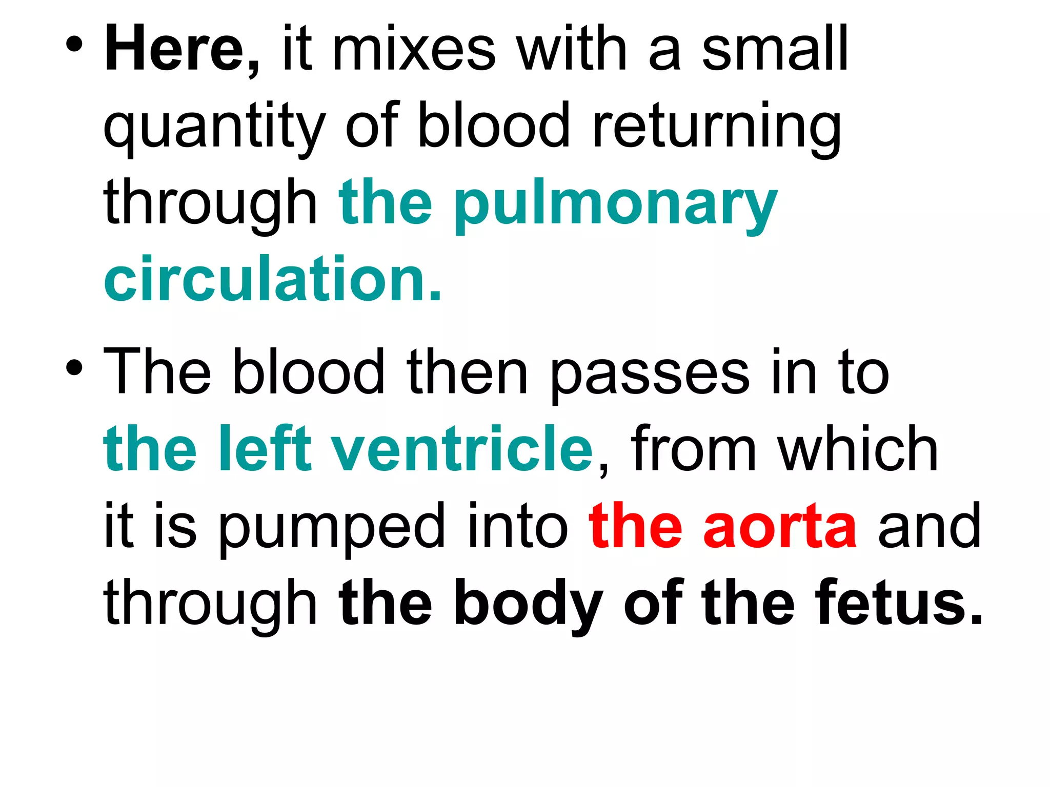 • Here, it mixes with a small
quantity of blood returning
through the pulmonary
circulation.
• The blood then passes in to
the left ventricle, from which
it is pumped into the aorta and
through the body of the fetus.
 