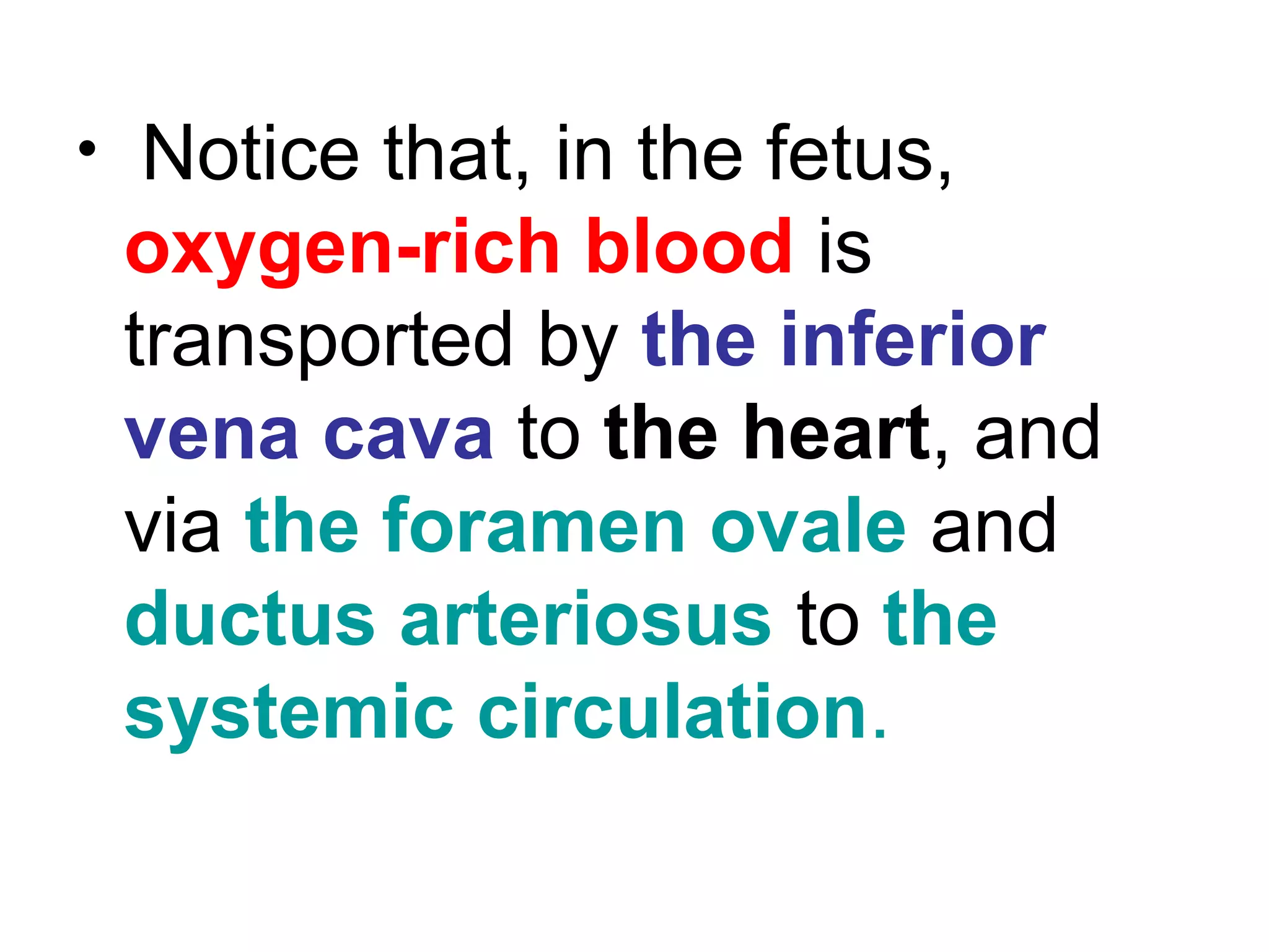 • Notice that, in the fetus,
oxygen-rich blood is
transported by the inferior
vena cava to the heart, and
via the foramen ovale and
ductus arteriosus to the
systemic circulation.
 