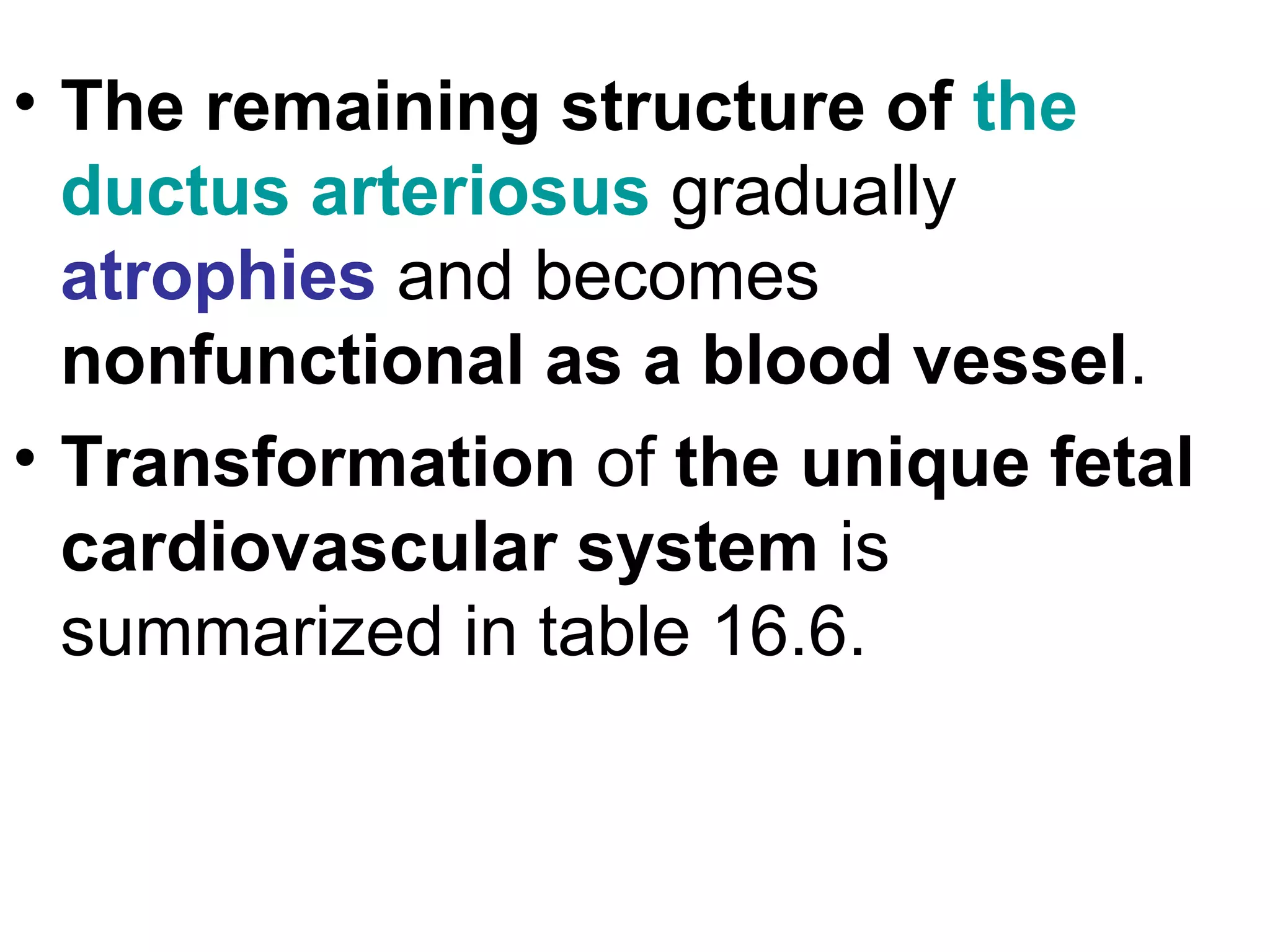 • The remaining structure of the
ductus arteriosus gradually
atrophies and becomes
nonfunctional as a blood vessel.
• Transformation of the unique fetal
cardiovascular system is
summarized in table 16.6.
 