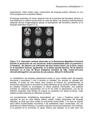 Recuperación y Rehabilitación 11


preposicional. Tales niveles mejor conservados del lenguaje pueden utilizarse en una
forma progresiva en el paciente afásico.

El lenguaje automático de hecho depende más de la actividad del hemisferio derecho, lo
cual exploraría su relativa conservación en caso de afasia. Los estudios contemporáneos
utilizando técnica imagenológicas apoyan la participación del hemisferio derecho en el
lenguaje automático (Figura 11.3).




Figura 11.3. Activación cerebral observada en la Resonancia Magnética Funcional
durante la producción de una secuencia verbal automatizada (decir el juramento a
la bandera). Se observa una activación del área motora facial y de la boca, mayor
en el hemisferio derecho. Igualmente, en el lóbulo parietal derecho. No se observa
activación en el área de Broca (Imágenes tomadas de http: //www.mch.com/
clinical/radiology/fmri con permiso de sus autores, Altman N. & Bernal B).


La rehabilitación del lenguaje preposicional puede en gran medida partir del lenguaje
emocional y automático, y aún a sonidos no verbales. Los sonidos no verbales (por
ejemplo, el sonido de una mosca para producir el fonema /s/) aparentemente se
encuentran organizados en el cerebro en áreas diferentes de los sonidos verbales. Desde
los estadios iniciales es aconsejable no utilizar palabras individuales, sino palabras
incluidas en relaciones gramaticales con el fin de evitar el agramatismo, uno de los
defectos residuales más difíciles de superar en pacientes con afasia de Broca. Cada
palabra se debe presentar en diferentes contextos.

Los procedimientos rehabilitativos desarrollados por Luria y Tsvetkova parten del
supuesto de que en cada defecto afásico existen niveles particulares del lenguaje
alterados, en tanto que otros niveles se encuentran conservados. Y se trata de superar
estos déficit fundamentales recurriendo a las habilidades mejor conservadas. Así, los
pacientes con afasia dinámica, no pueden organizar secuencias expresivas. Sin embargo,
si al paciente se le suministra un apoyo externo (por ejemplo, se le pide tocar una
 