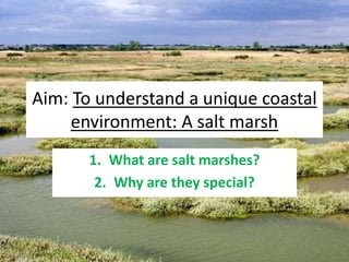 Aim: To understand a unique coastal
environment: A salt marsh
1. What are salt marshes?
2. Why are they special?
 